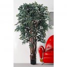 5Ft Sakaki Silk Tree