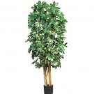 5Ft Schefflera Silk Tree