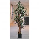 5Ft Yucca Silk Tree