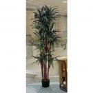 6.5Ft Dracena Silk Tree