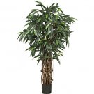 6Ft Mango Silk Tree
