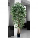6Ft Ruscus Silk Tree
