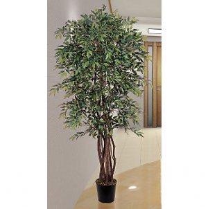 6Ft Similax Silk Tree