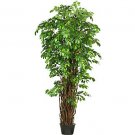 7Ft Deluxe Ficus Multi Tree