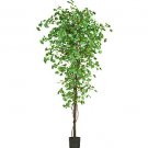 7Ft Gingko Silk Tree