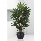 27" Raphis Silk Palm Tree w/Black Vase