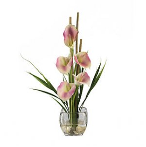 Calla Lilly Liquid Illusion - Pink