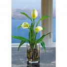 Calla Lilly w/Vase Silk Arrangement - Cream