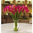 Freesia Liquid Illusion Silk Arrangement - Beauty