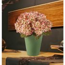 Garden Hydrangea Silk Arrangement - Cream Pink