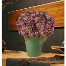 Garden Hydrangea Silk Arrangement - Purple Green