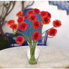Gerber Daisy Liquid Illusion - Orange