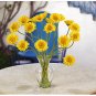 Gerber Daisy Liquid Illusion - Yellow