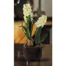 Hyacinth Silk Arrangement w/Glazed Pot - White