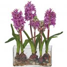 Hyacinth w/Rectangle Vase Silk Flowers - Purple