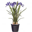 Iris Silk Arrangement w/Blue Pot - Blue