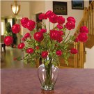 Ranunculus Liquid Illusion - Red