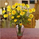 Ranunculus Liquid Illusion - Yellow