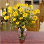 Ranunculus Liquid Illusion - Yellow