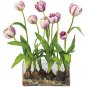 Tulips w/Rectangle Vase Silk Flowers - Raspberry