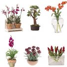 Miniature Arrangements Assortment 3