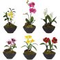Set Of 6 Little Black Vase Assortment