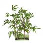 Bamboo w/Glass Planter