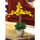 Triple Stem Phalaenopsis Silk Orchid Flowers - Gold