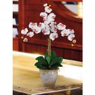 Triple Stem Phalaenopsis Silk Orchid Flowers - White