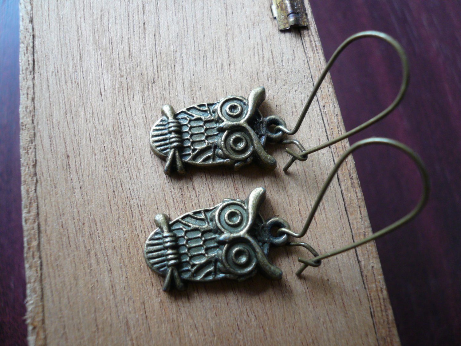 Witty Owl Bronze Earrings
