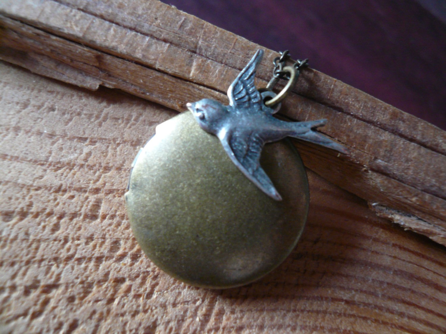 Sparrow's Journey Bird Round Locket Necklace