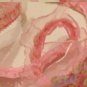 1 organza sheer ribbon trim elastic sequin ruffle white