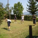 Chipping green RUDNIK