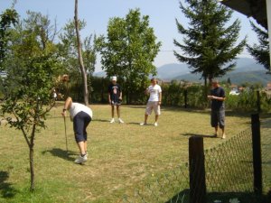 Chipping green RUDNIK