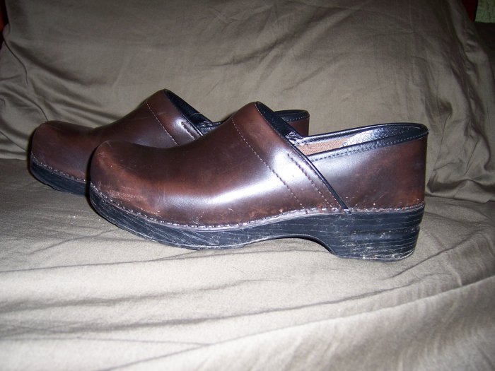 Dansko Professional Closed Back Clogs