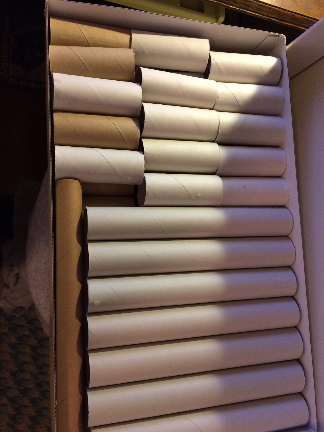 100+ Toilet + Paper Towel cardboard TUBES ROLLS CLEAN-arts crafts ...