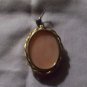 plastic cameo pin