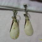 Blowhorn shells clip on earings