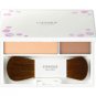 Kose Esprique Precious Face Styling Powder
