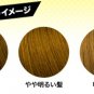KAO Prettia Soft Bubble Hair Color for Men (Nuance Ash)