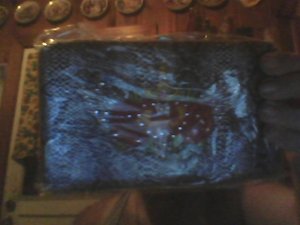Purse