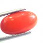 4.28 Ct Untreated Natural Premium Italian Red Coral AAAAA