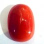 Huge 12.00 Ct Untreated Natural Premium Italian Red Coral AAAAA