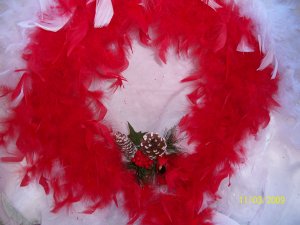 Wreath - Reb & White Feather with cardinal