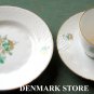 Danish Bing & Grondahl Copenhagen BIG 17 Cup Saucer Plate Set
