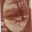 bonne annee postcard
