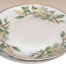 Treasure (WHITE MAGNOLIAS) by Contour China Bread and Butter Plates - Set of 2
