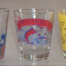 Vintage Souvenir Shot Glasses - Set of 5