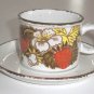 Vintage Midwinter Stonehenge Strawberry Cup and Saucer Set of 2