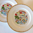 Vintage Florida Souvenir Plate - Carrib Novelty Inc.  Set of 2